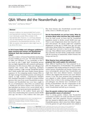 Q&A: Where Did the Neanderthals