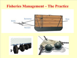 Fisheries Management – the Practice Stock Assessment