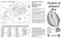 Finfish of Jamaica