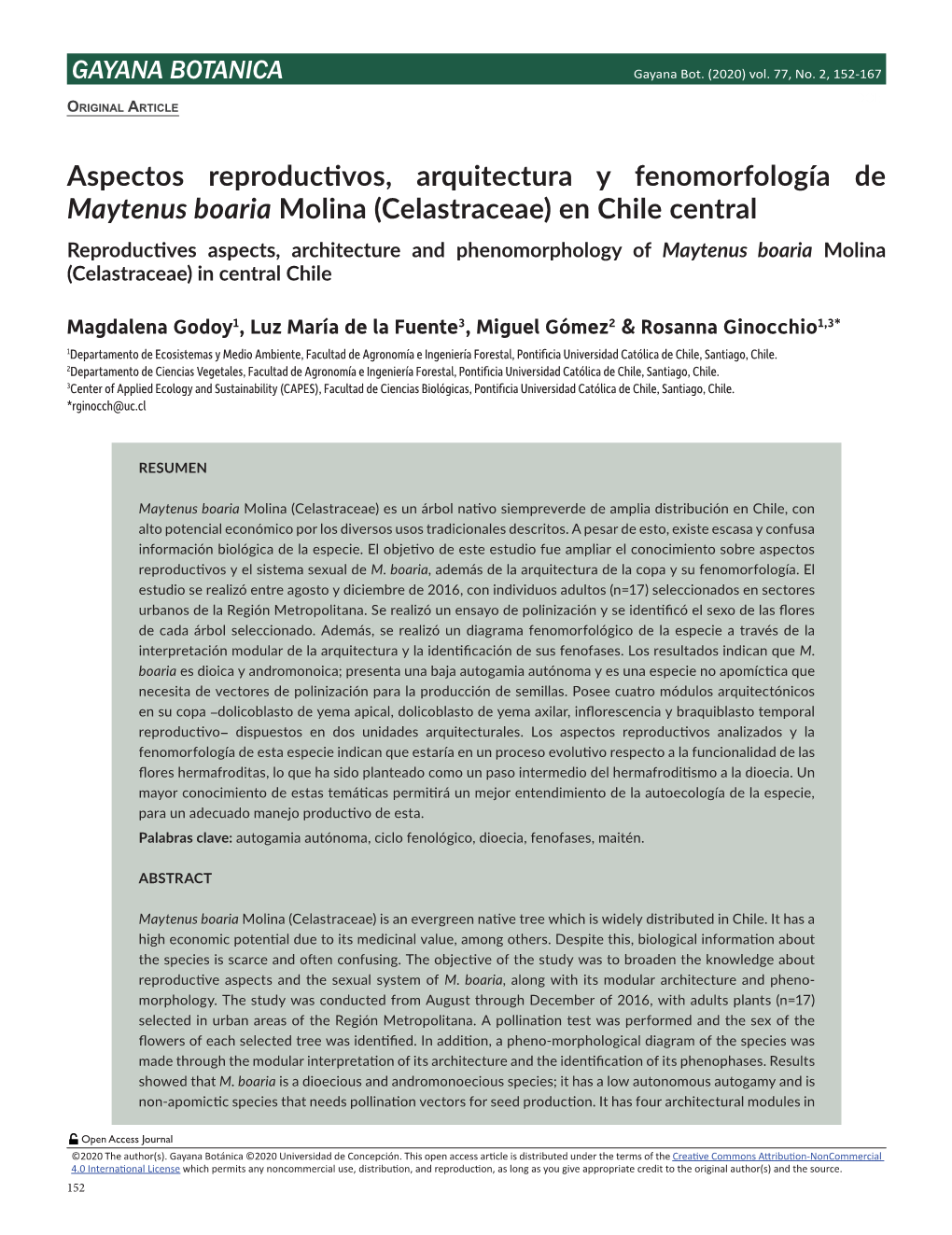 Aspectos Reproductivos, Arquitectura Y Fenomorfología De Maytenus