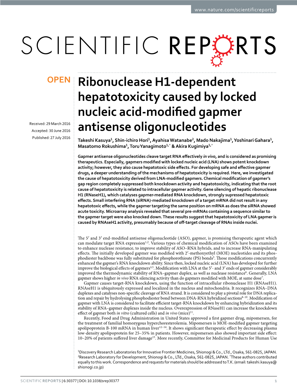 Ribonuclease H1-Dependent Hepatotoxicity Caused by Locked