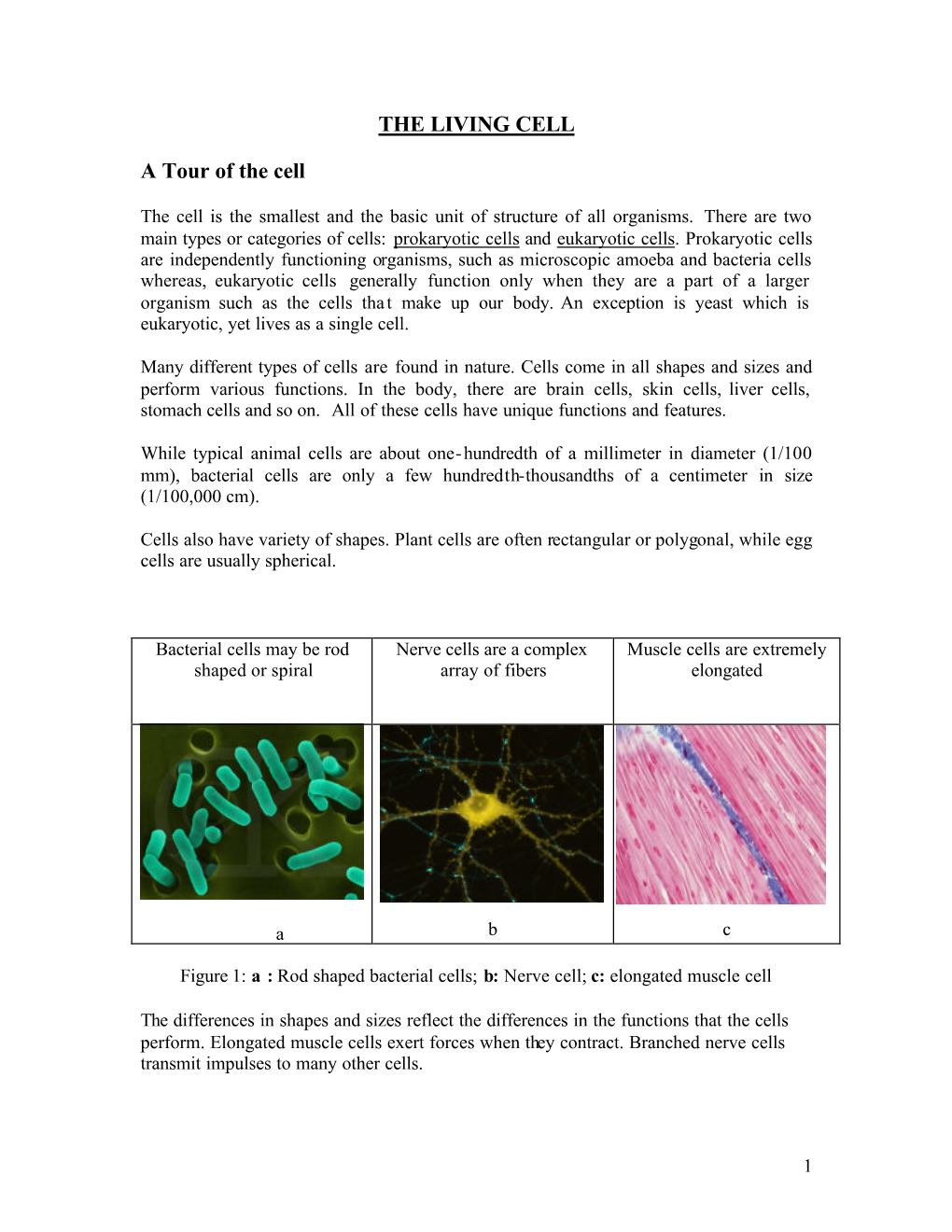 The Living Cell