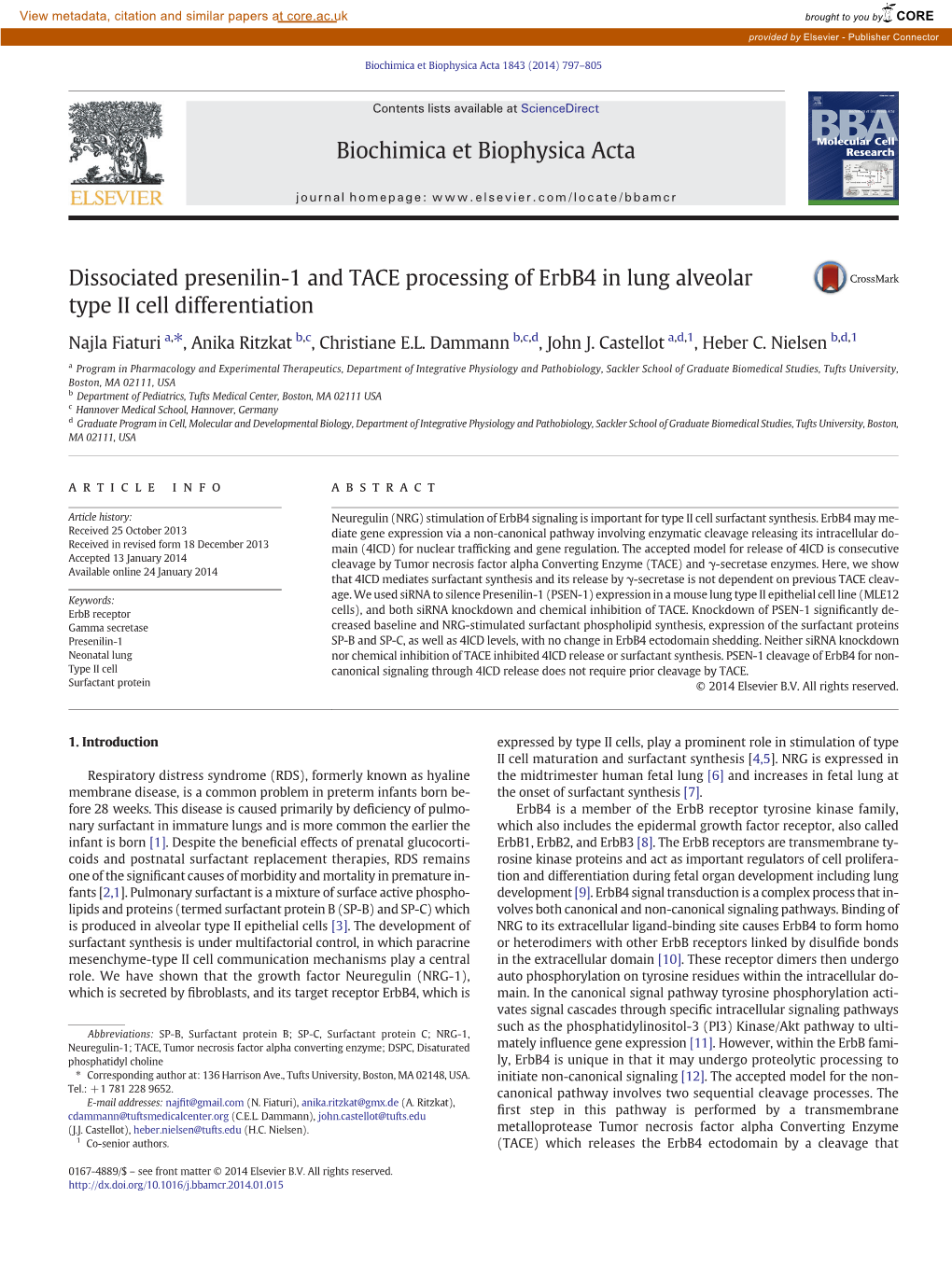 Dissociated Presenilin-1 and TACE Processing of Erbb4 in Lung Alveolar Type II Cell Differentiation