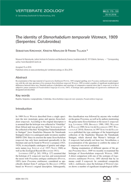 The Identity of Stenorhabdium Temporale Werner, 1909 (Serpentes: Colubroidea)