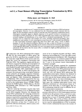 Retl-1, a Yeast Mutant Affecting Transcription Termination by RNA Polymerase I11