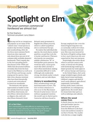 Woodsense Spotlight on Elm the Once-Common Commercial Hardwood We Almost Lost