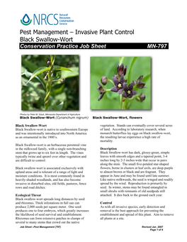 Pest Management – Invasive Plant Control Black Swallow-Wort Conservation Practice Job Sheet MN-797