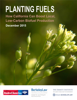 PLANTING FUELS How California Can Boost Local, Low-Carbon Biofuel Production December 2015