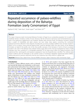 Repeated Occurrence of Palaeo-Wildfires During Deposition