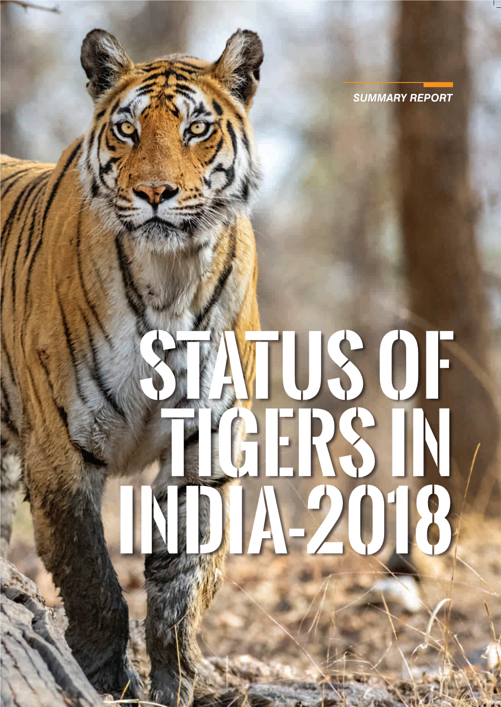 Status of Tigers in India – 2018
