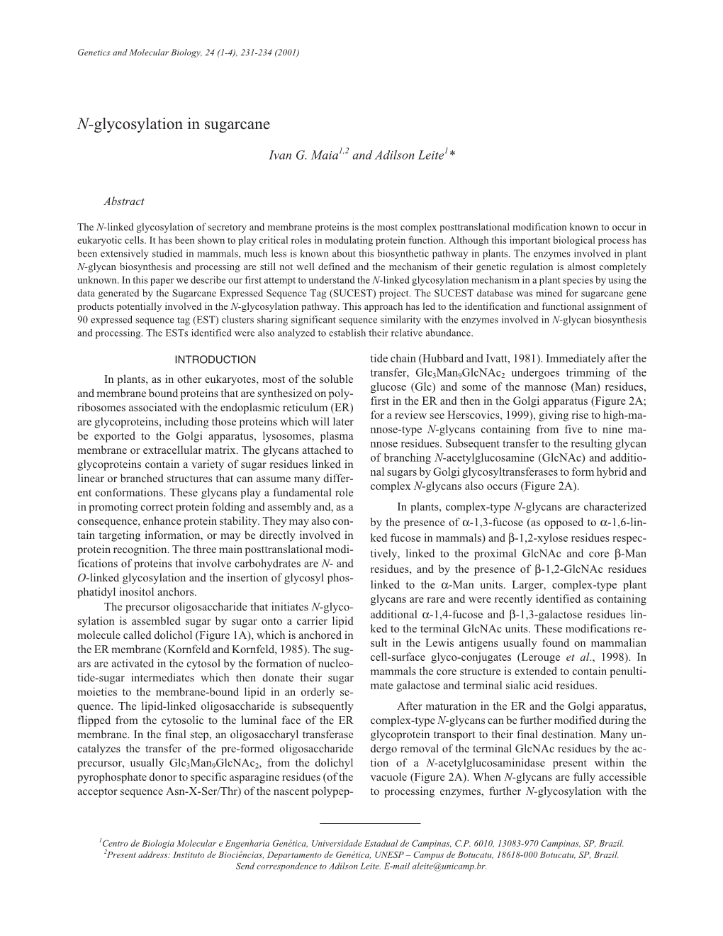 N-Glycosylation in Sugarcane