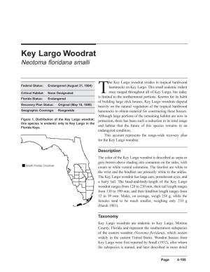 The Key Largo Woodrat Resides in Tropical Hardwood
