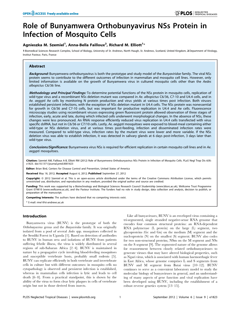 Role of Bunyamwera Orthobunyavirus Nss Protein in Infection of Mosquito Cells