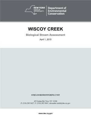 Wiscoy Creek, 2015