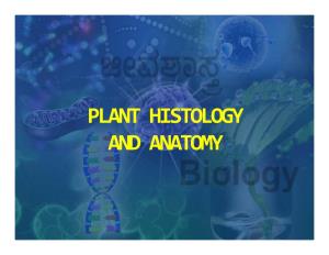 Plant Histology and Anatomy Q