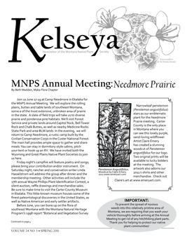 MNPS Annual Meeting: Needmore Prairie