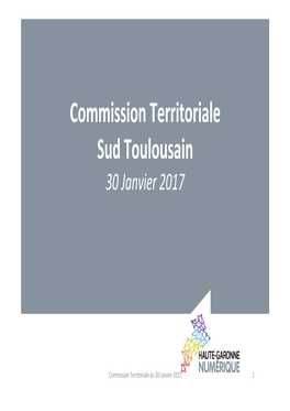 Commission Territoriale Sud Toulousain 30 Janvier 2017