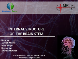Internal Structure of the Brain Stem