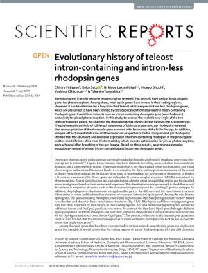 Evolutionary History of Teleost Intron-Containing and Intron-Less