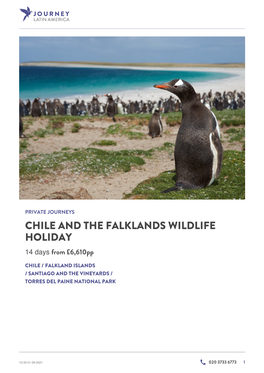 Chile and the Falklands Wildlife Holiday