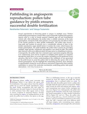 Pollen Tube Guidance by Pistils Ensures Successful Double Fertilization Ravishankar Palanivelu∗ and Tatsuya Tsukamoto