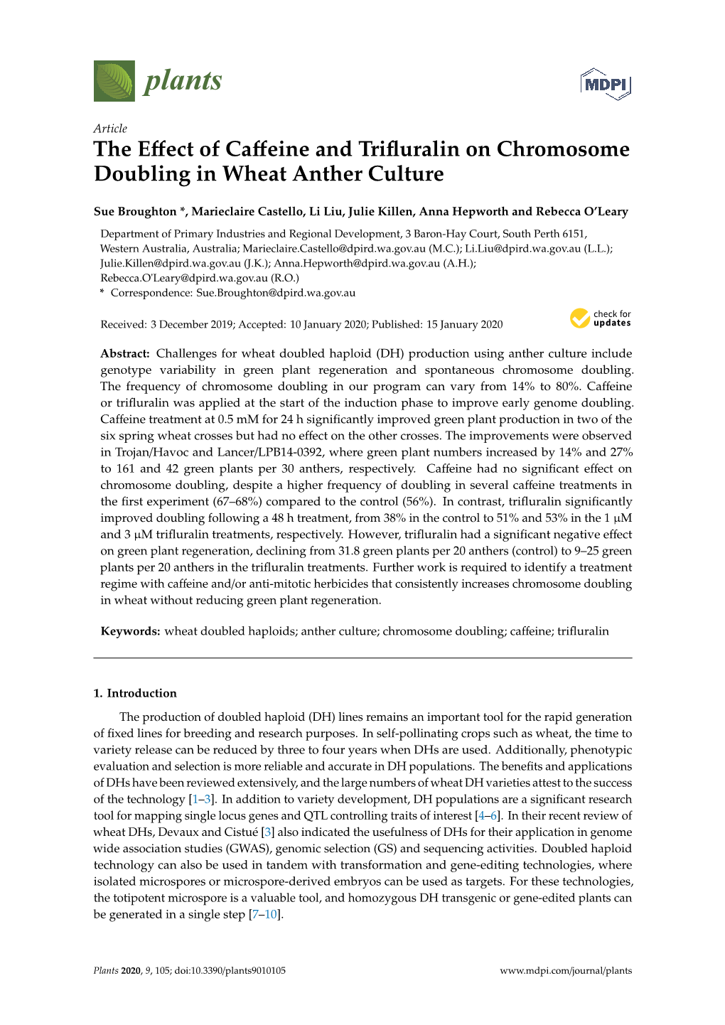 The Effect of Caffeine and Trifluralin on Chromosome Doubling in Wheat