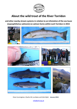 About the Wild Trout of the River Torridon