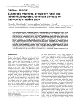 Eukaryotic Microbes, Principally Fungi and Labyrinthulomycetes, Dominate Biomass on Bathypelagic Marine Snow