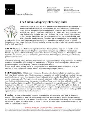 The Culture of Spring Flowering Bulbs