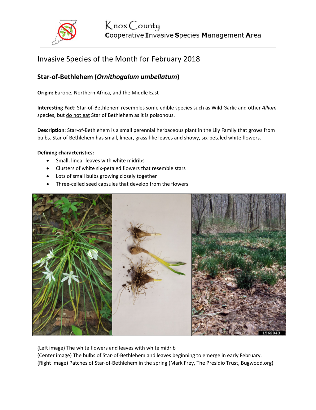 Invasive Species of the Month for February 2018