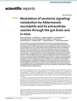 Modulation of Serotonin Signaling/Metabolism by Akkermansia Muciniphila and Its Extracellular Vesicles Through the Gut-Brain