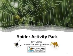Spider Activity Pack Kerry Wixted Wildlife and Heritage Service