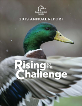 2019 Annual Report