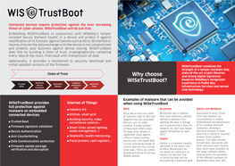 Why Choose Wisetrustboot?
