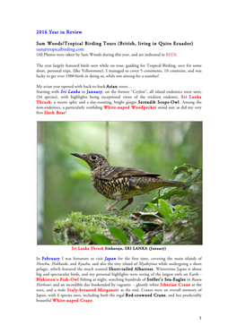 1 2016 Year in Review Sam Woods/Tropical Birding Tours