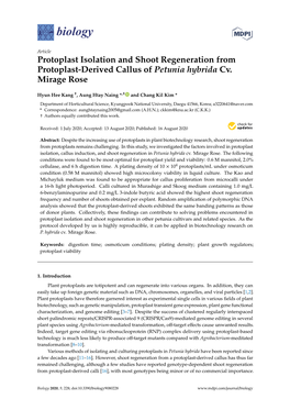 Protoplast Isolation and Shoot Regeneration from Protoplast-Derived Callus of Petunia Hybrida Cv