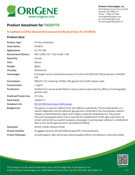 N Cadherin (CDH2) Mouse Monoclonal Antibody [Clone ID: OTI3B10] Product Data