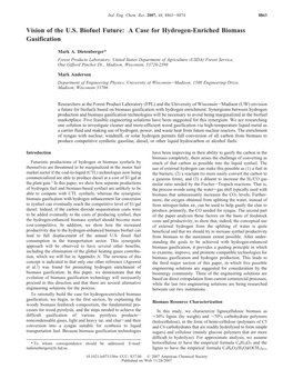 Vision of the U.S. Biofuel Future: a Case for Hydrogen-Enriched Biomass Gasification