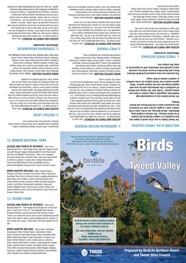 Birds of the Tweed Valley