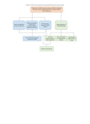 Figure S1. Flow Chart to Present the Experimental Design of the Present Study