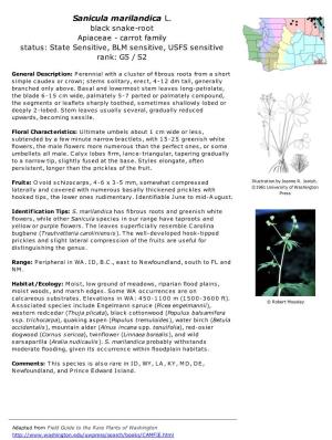 Sanicula Marilandica L. Black Snake-Root Apiaceae - Carrot Family Status: State Sensitive, BLM Sensitive, USFS Sensitive Rank: G5 / S2
