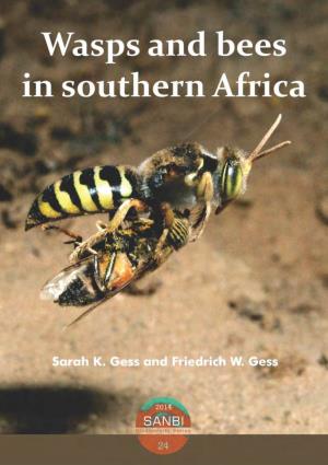 Wasps and Bees in Southern Africa