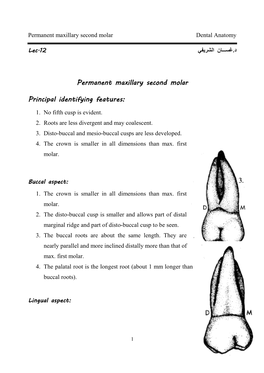 Identifying Features