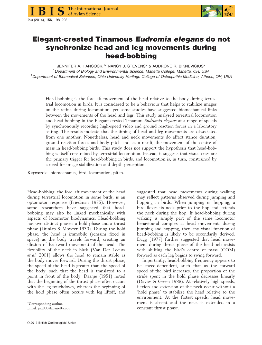 Elegantcrested Tinamous Eudromia Elegans Do Not Synchronize Head