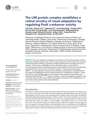 The LIM Protein Complex Establishes a Retinal Circuitry of Visual Adaptation