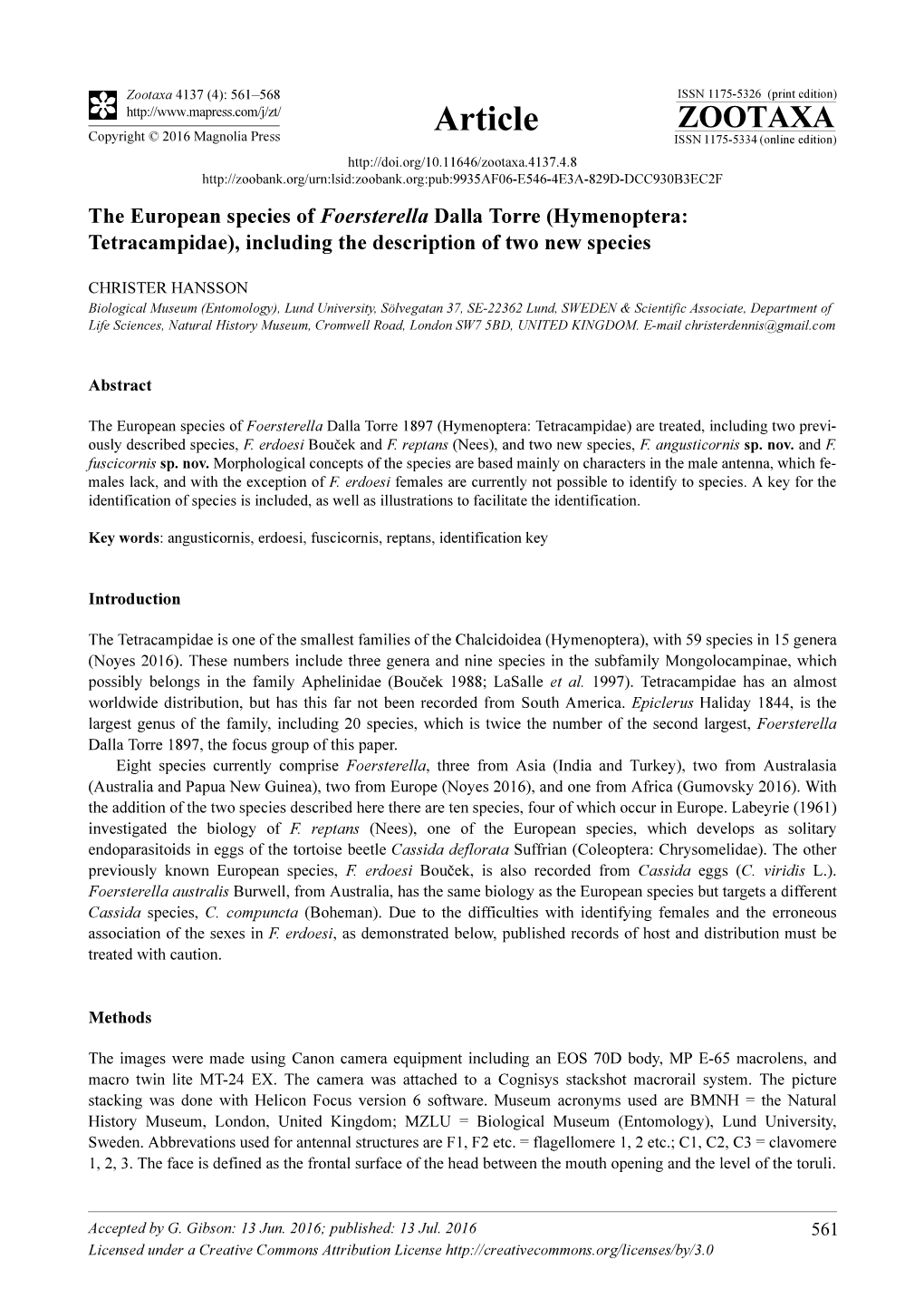 The European Species of Foersterella Dalla Torre (Hymenoptera: Tetracampidae), Including the Description of Two New Species