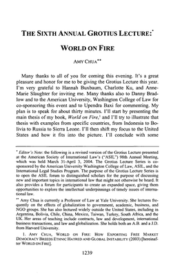 Sixth Annual Grotius Lecture: World on Fire