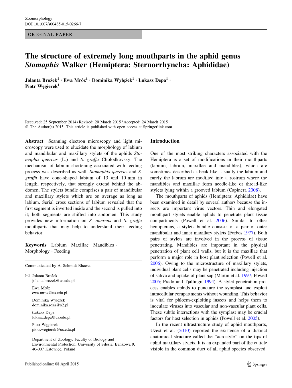 The Structure of Extremely Long Mouthparts in the Aphid Genus Stomaphis Walker (Hemiptera: Sternorrhyncha: Aphididae)