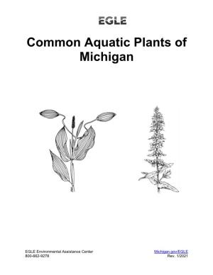 Common Aquatic Plants of Michigan