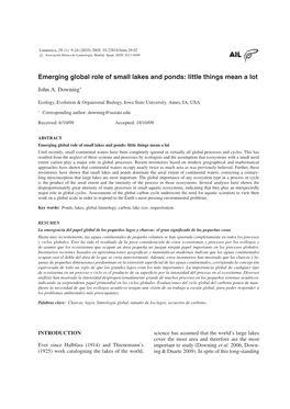 Emerging Global Role of Small Lakes and Ponds: Little Things Mean a Lot